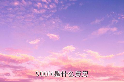負(fù)債900m是什么意思，900m是什么意思