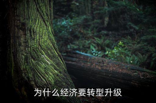 為什么經(jīng)濟要轉(zhuǎn)型升級