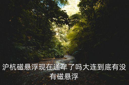 滬杭磁懸浮現(xiàn)在通車(chē)了嗎大連到底有沒(méi)有磁懸浮