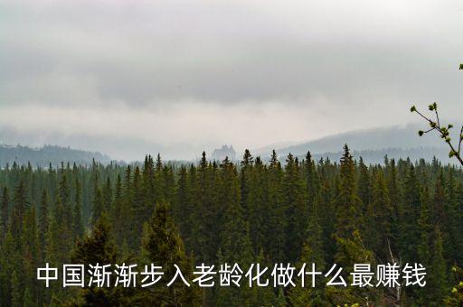 中國漸漸步入老齡化做什么最賺錢