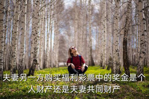 夫妻另一方購買福利彩票中的獎(jiǎng)金是個(gè)人財(cái)產(chǎn)還是夫妻共同財(cái)產(chǎn)
