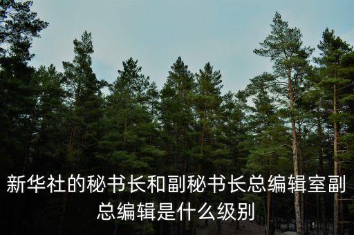 彭樹杰是什么級別，中林集團董事長是什么行政級別