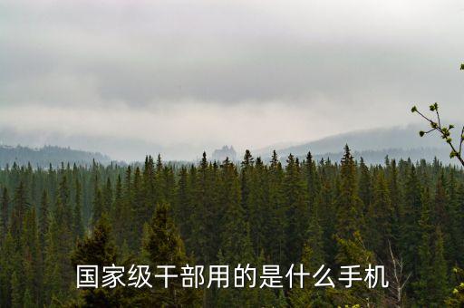央企領(lǐng)導(dǎo)用什么手機(jī)，國(guó)家級(jí)干部用的是什么手機(jī)