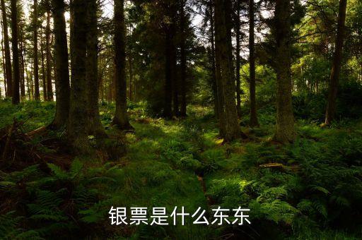 銀票是什么東東