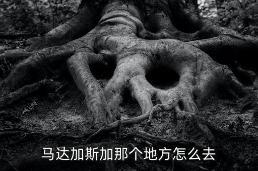 出口馬達(dá)加斯加要做什么，如何進(jìn)口馬達(dá)加斯加海魚(yú)