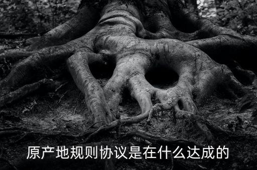 原產(chǎn)地規(guī)則協(xié)議是在什么達(dá)成的