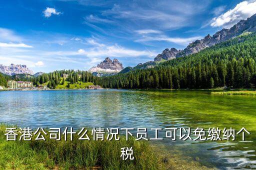 香港公司什么情況下員工可以免繳納個(gè)稅