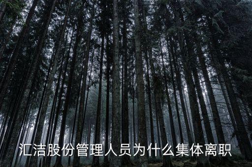 匯潔股份是做什么的，匯潔股份今天開盤為什么跌停謝謝