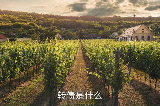 浙能轉(zhuǎn)債是什么，浙能電力轉(zhuǎn)債贖回兌付摘牌是利好還是利空