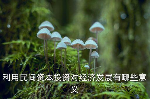 利用民間資本投資對(duì)經(jīng)濟(jì)發(fā)展有哪些意義