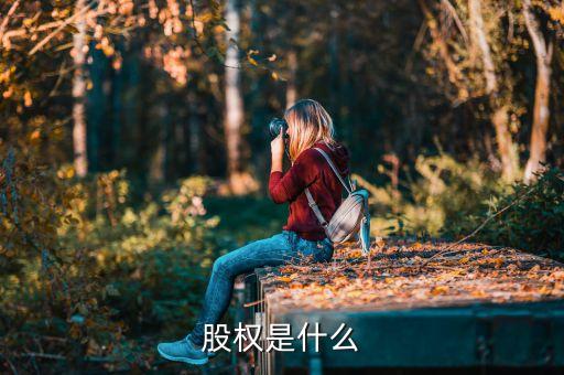 什么股權(quán)，股權(quán)是什么