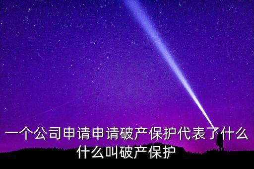 申請破產(chǎn)保護(hù)是什么意思，破產(chǎn)保護(hù)是什么意思