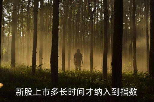 新股什么時候計入指數(shù)，新股上市多長時間才納入到指數(shù)