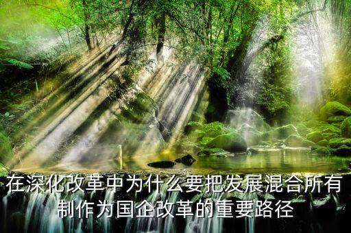 為什么要混合所有制，國有企業(yè)為什么要混合所有制經(jīng)濟