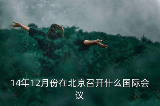 總理一般會(huì)出席什么國(guó)際會(huì)議，英國(guó)的懸浮議會(huì)