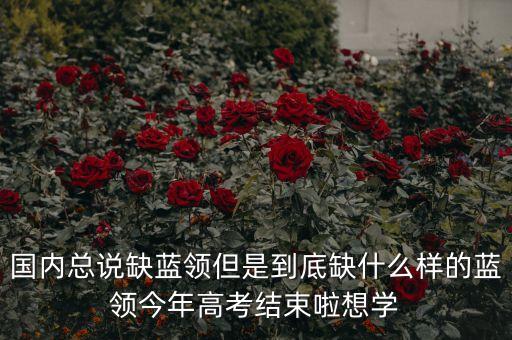 國內(nèi)總說缺藍(lán)領(lǐng)但是到底缺什么樣的藍(lán)領(lǐng)今年高考結(jié)束啦想學(xué)
