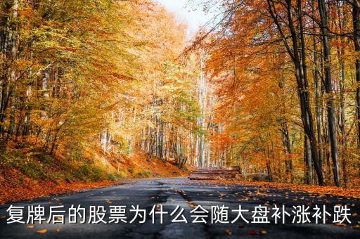 股票復牌為什么會補跌，復牌后的股票為什么會隨大盤補漲補跌