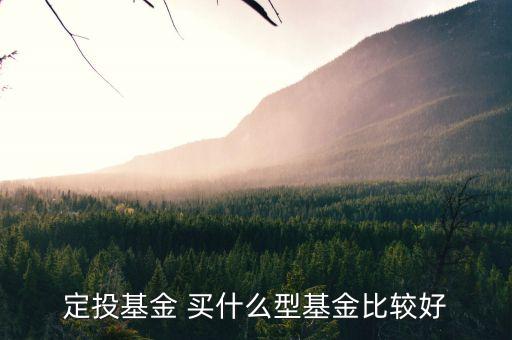 定投基金買什么最好，定投什么基金好