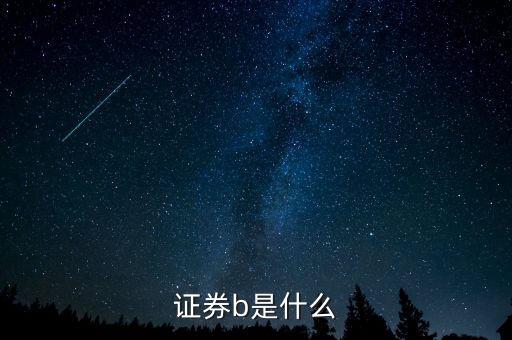 什么是b型證券營業(yè)部，股市中證券B是什么為什么份額突然會減少那么多