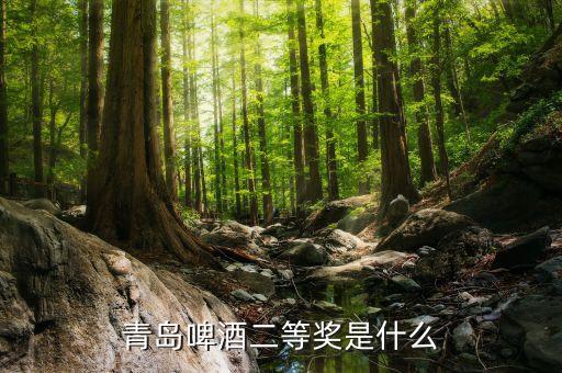 青島啤酒2等獎是什么，請問昨天喝了一瓶青島啤酒上面寫了2等獎是什么意思獎品是什么
