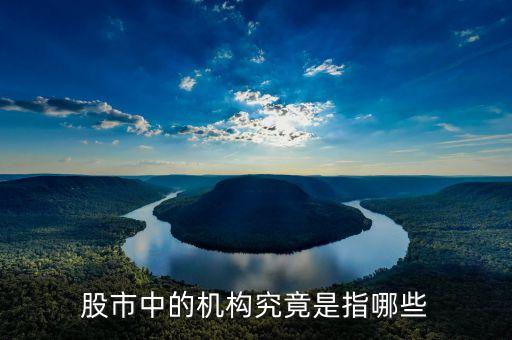 股票中的機(jī)構(gòu)指什么，股市里的機(jī)構(gòu)指的是什么
