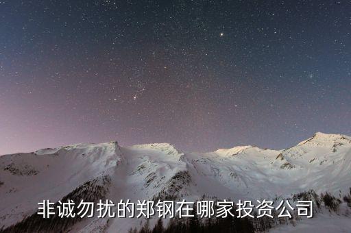 鄭鋼的投資公司是什么，南大鄭鋼投資什么發(fā)的財