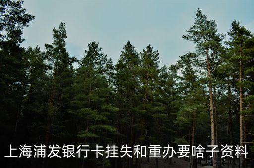 浦發(fā)銀行卡掛失需要什么，上海浦發(fā)銀行卡掛失步驟