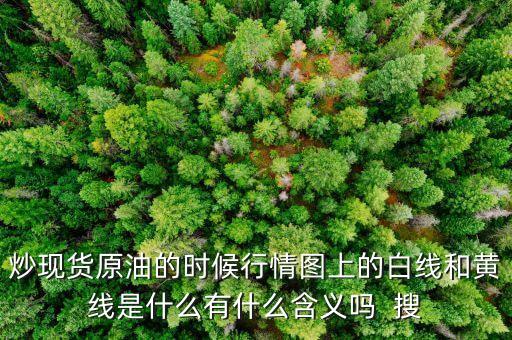 原油分時圖的兩條線代表什么，原油紅藍(lán)綠線帶表什么