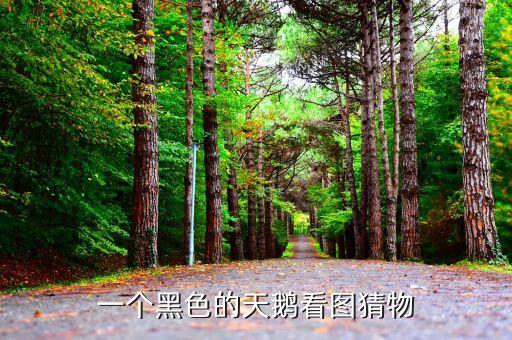 朋友圈互動猜黑天鵝是什么，朋友圈發(fā)一個黑天鵝讓猜是什么