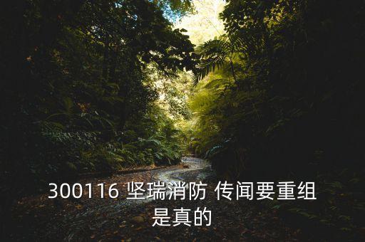 堅(jiān)瑞消防什么新重大事項(xiàng)，300116 堅(jiān)瑞消防 傳聞要重組是真的