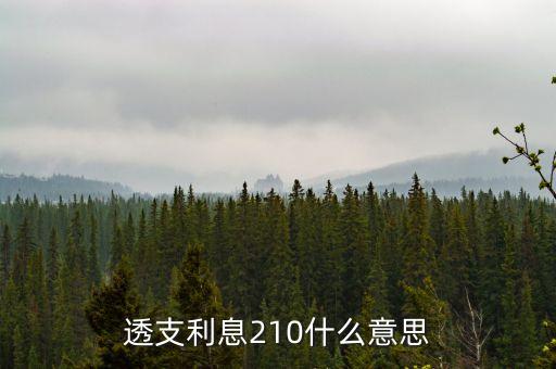 什么是透支利息，透支利息210什么意思