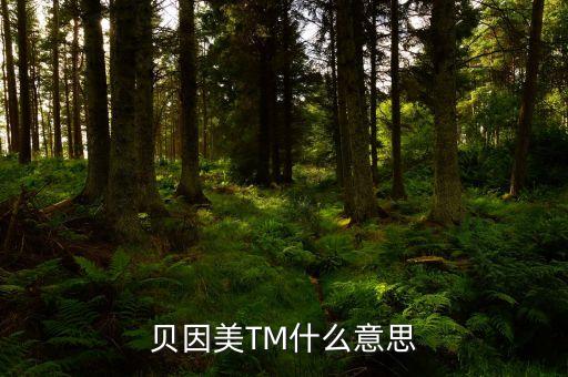貝因美尾盤1多手什么意思，貝因美TM什么意思
