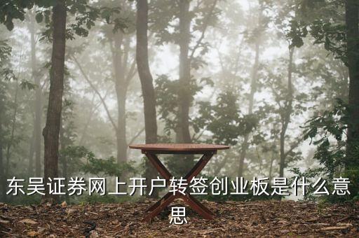 東吳證券網(wǎng)上開(kāi)戶轉(zhuǎn)簽創(chuàng)業(yè)板是什么意思