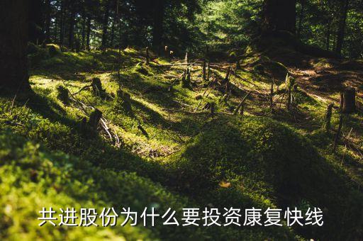 共進股份為什么要投資康復快線