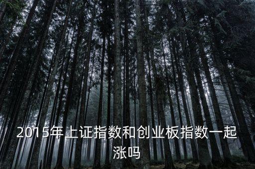 2015年創(chuàng)業(yè)板為什么漲，2015年上證指數(shù)和創(chuàng)業(yè)板指數(shù)一起漲嗎