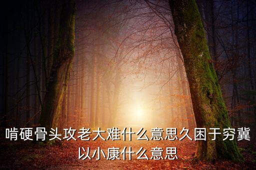 老大難是什么意思，歸家的兔子靠岸的船中國又少了一個老大難什么意思