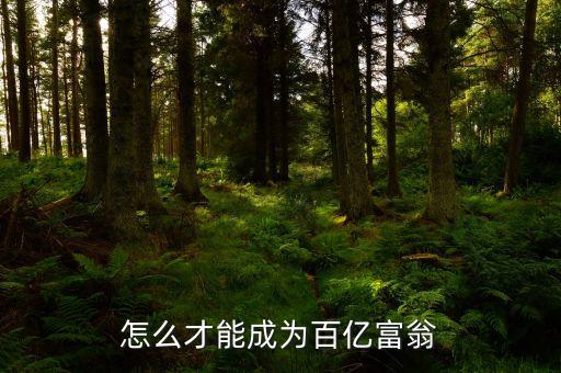 拿什么沖百億，怎么才能成為百億富翁