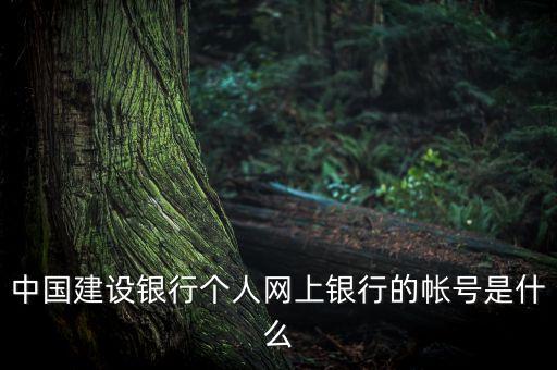 中國(guó)建設(shè)銀行個(gè)人網(wǎng)上銀行的帳號(hào)是什么