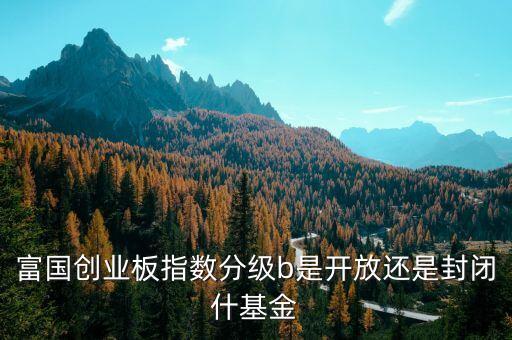 國(guó)富100b是什么基金，富國(guó)軍工指數(shù)分級(jí)a 和b有啥區(qū)別