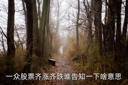 股票量價(jià)齊跌意味著什么，這幾天大盤量價(jià)齊跌從技術(shù)角度說明什么