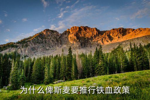 什么是鐵血政策，鐵血政策鐵和血分別指什么