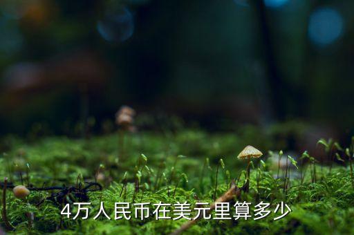 4萬人民幣在美元里算多少