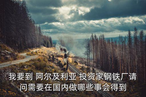 阿爾及爾投資什么好，本人打算去非洲做生意 都需要準備些什么
