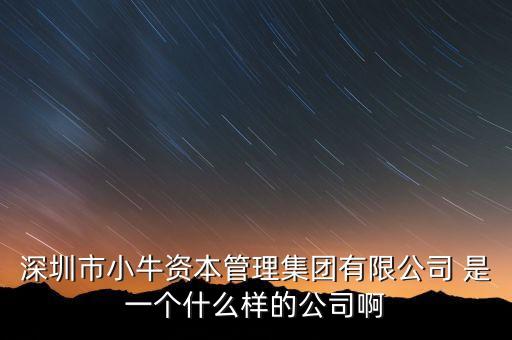 深圳市小牛資本管理集團(tuán)有限公司 是一個什么樣的公司啊