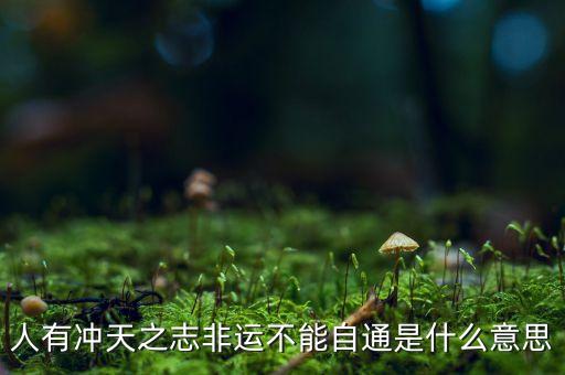 人有沖天之志非運(yùn)不能自通是什么意思