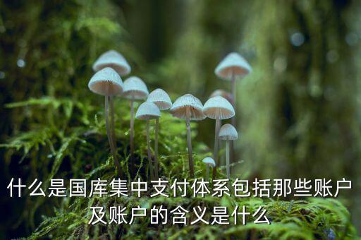 什么叫國庫，什么是國庫券最好能解釋得通俗易懂