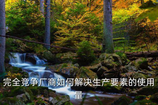 完全競(jìng)爭(zhēng)廠商如何解決生產(chǎn)要素的使用量