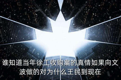 誰知道當年徐工收購案的真情如果向文波做的對為什么王民到現(xiàn)在