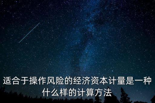 適合于操作風(fēng)險(xiǎn)的經(jīng)濟(jì)資本計(jì)量是一種什么樣的計(jì)算方法