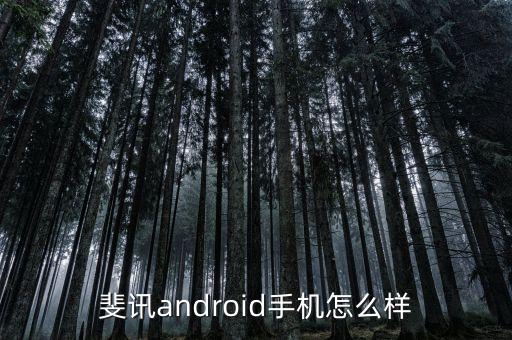 斐訊android手機怎么樣